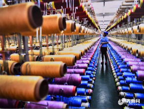 改革开放40年主题影像背后的故事 100个废旧塑料瓶织出节能环保梦