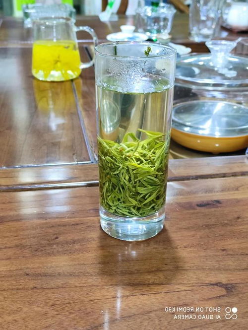 山东特产日照绿茶
