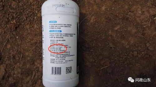 特色农产品被贴牌与问题农资坑害果农 省农业农村厅接受凤凰网山东问政