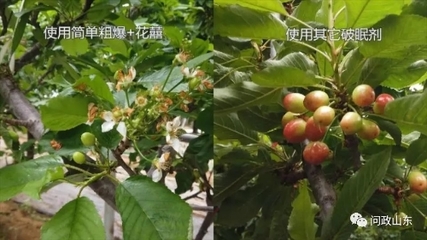 山东省农业农村厅接受问政 特色农产品被贴牌、问题农资坑果农引关注